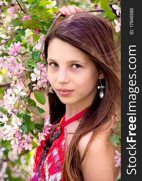 Portrait of the girl at a blossoming apple-tree. Portrait of the girl at a blossoming apple-tree