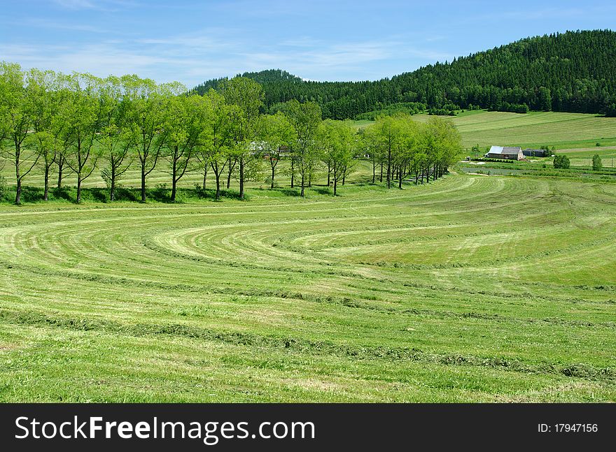 Rural view on fresh field