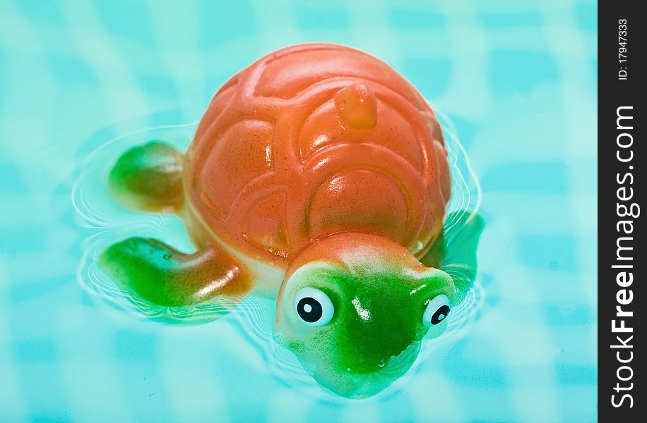 Turtle in bath bathroom splashing in water. Turtle in bath bathroom splashing in water