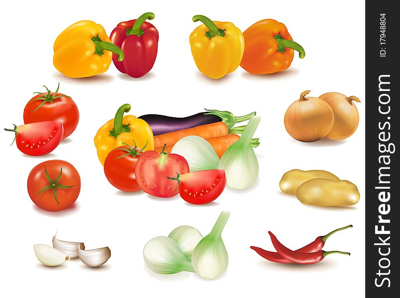The big colorful group of vegetables. Photo-realistic .