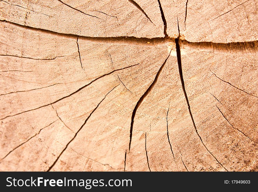 Close up crack on the teak. Close up crack on the teak