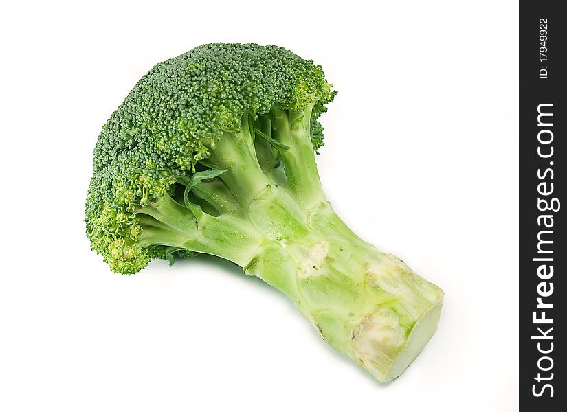 Broccoli isolated on white background