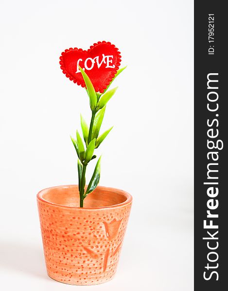 Small Pot With A Love Flower