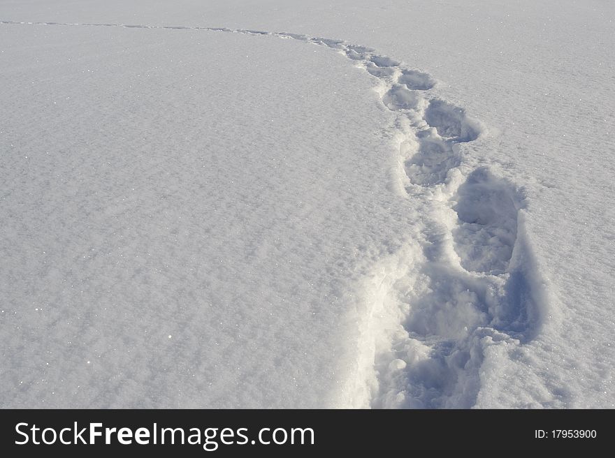 Footprints of snowshoes at fresh snow in winter landscape to lonesome cottage in upper bavaria, germany. Footprints of snowshoes at fresh snow in winter landscape to lonesome cottage in upper bavaria, germany