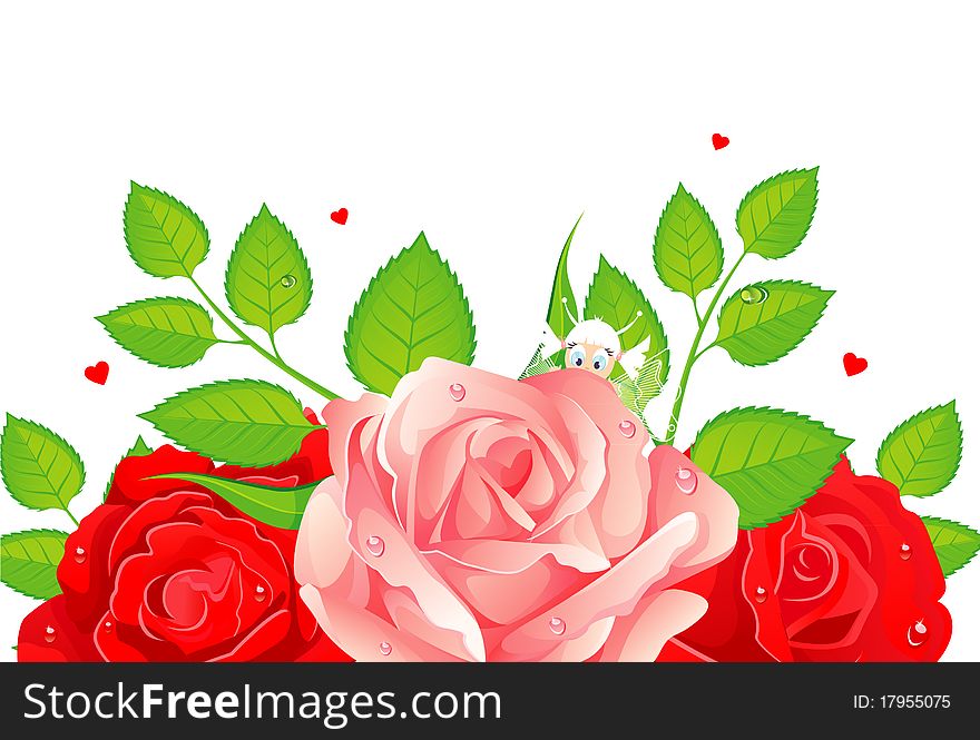 Roses beauty back, illustration. Roses beauty back, illustration