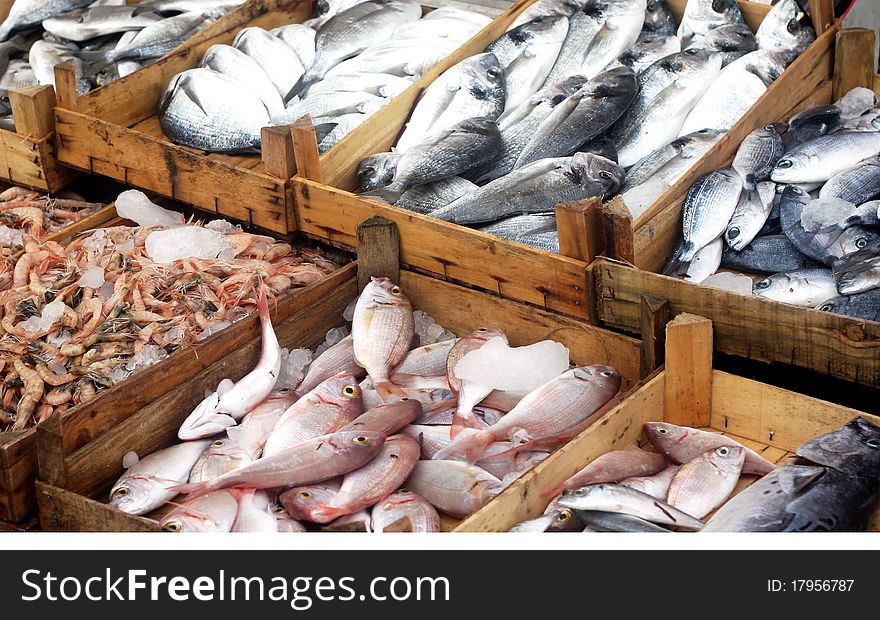 Fresh fishes in the market