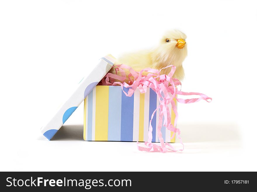 A baby chick is in a colorful gift box. A baby chick is in a colorful gift box.