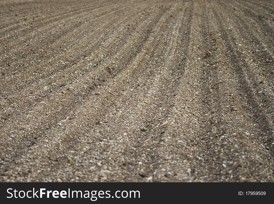 Field in spring with furrows for seed. Field in spring with furrows for seed