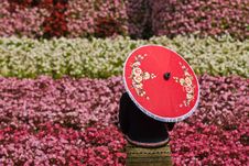 Flower Garden Royalty Free Stock Image Flower Garden Royalty Free Stock Image