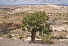 Grand Staircase Escalante National Monument Royalty Free Stock Images Grand Staircase Escalante National Monument Royalty Free Stock Images