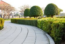 Sidewalk In The Park Stock Photo Sidewalk In The Park Stock Photo