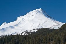 Mount Hood Stock Photography