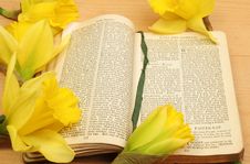 Prayer Book And Daffodils Stock Photos Prayer Book And Daffodils Stock Photos