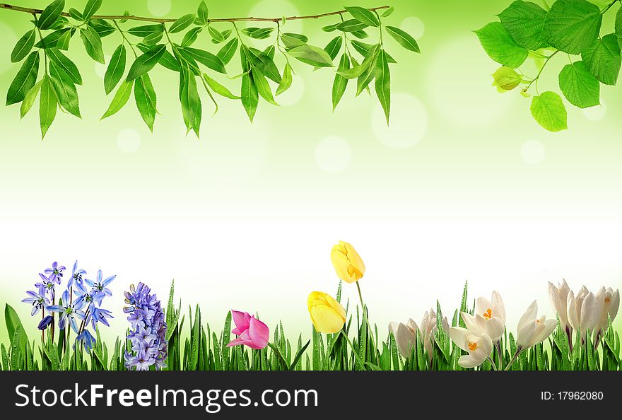 Spring background with flowers and plants