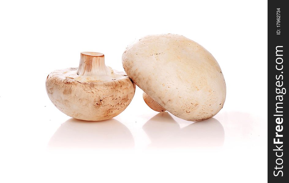 Champignon isolated over white background. Champignon isolated over white background.