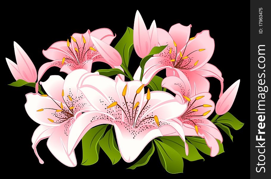 Black background with beautiful pink flowers.