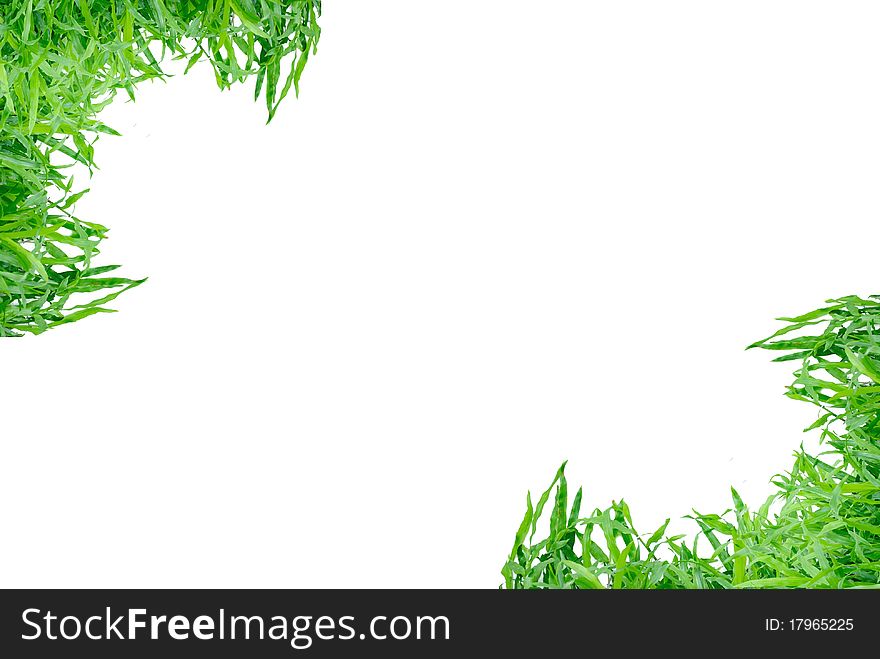 Grass Frame Isolated