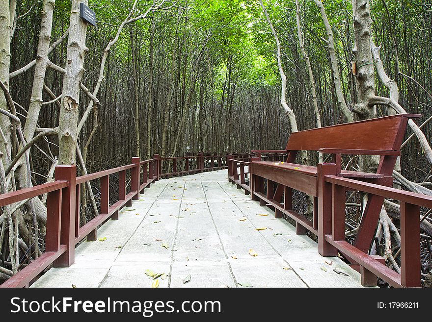 The residence on the footpath in mangrove forest ,