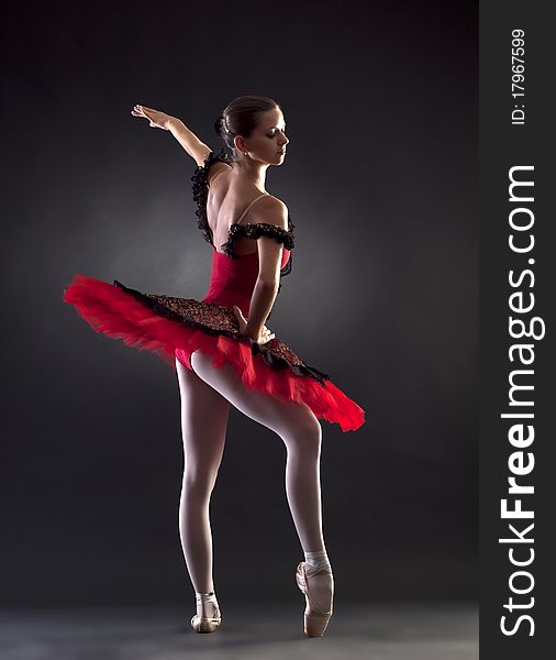 The beautiful young dancer. The ballerina posing.