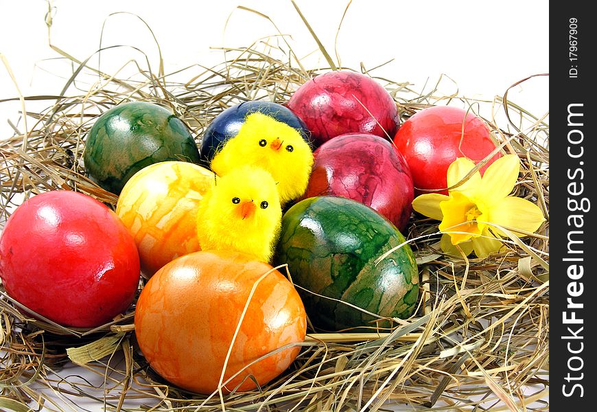 Easter eggs & chicks