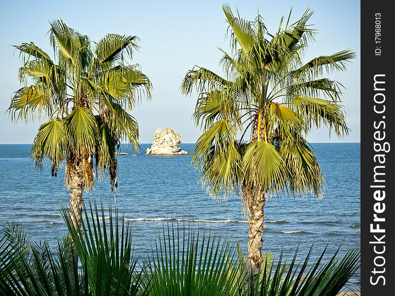 Big rock in the sea between two palms in south Italy