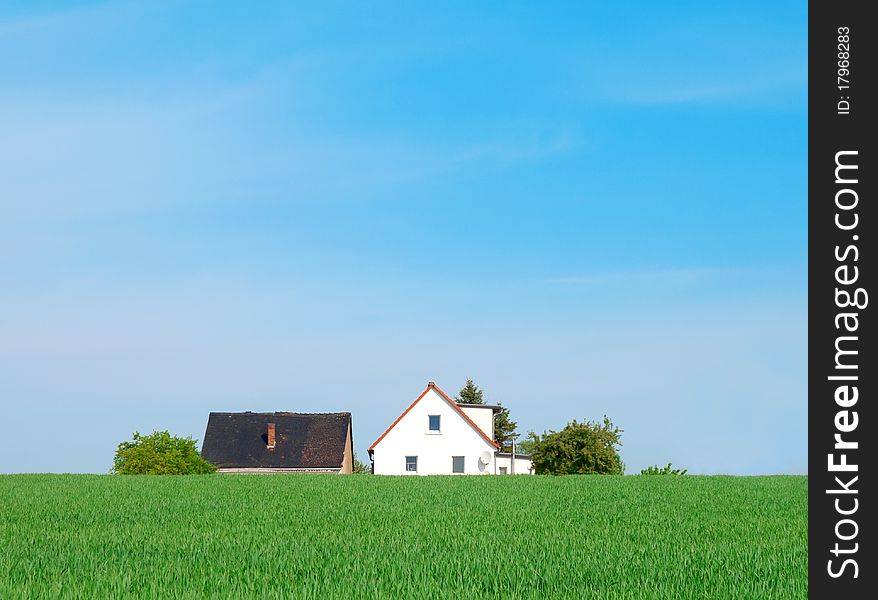 House on green agriculture field. House on green agriculture field