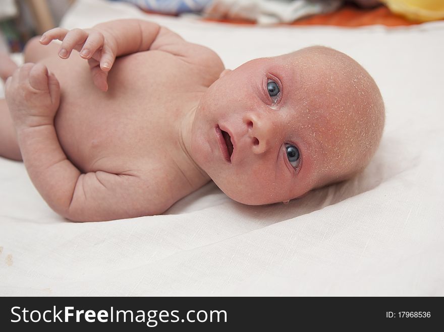 Newborn Baby  Boy - Inquiring Look