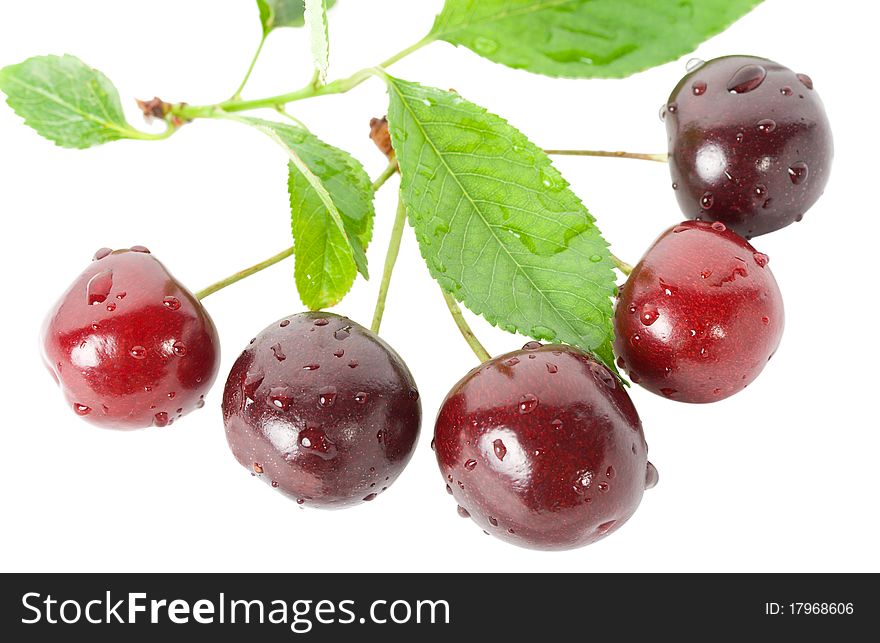 Ripe cherries with leaves, isolated on white