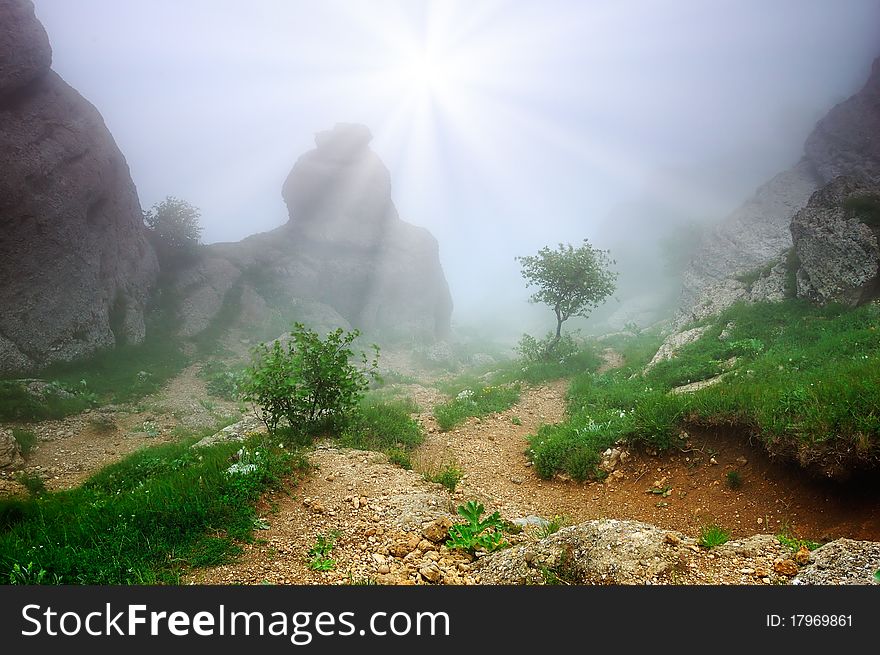 Trees and rocks in mountains with a fog. Crimea, Ukraine.