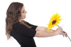 Woman Holding A Sunflower Stock Image Woman Holding A Sunflower Stock Image