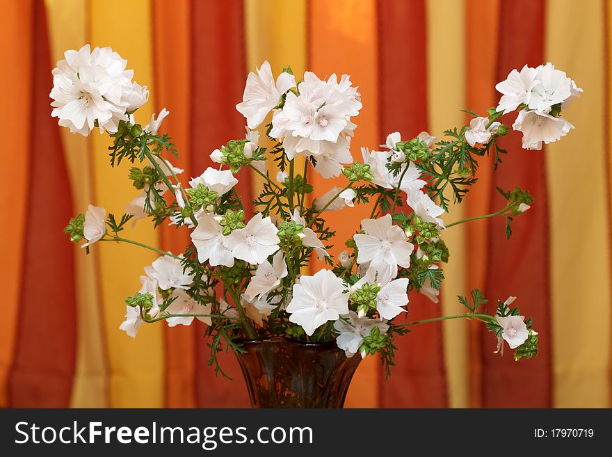 Bunch of coloured flowers on coloured background