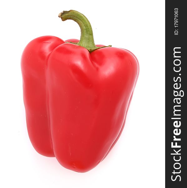 Red pepper on the whitw background