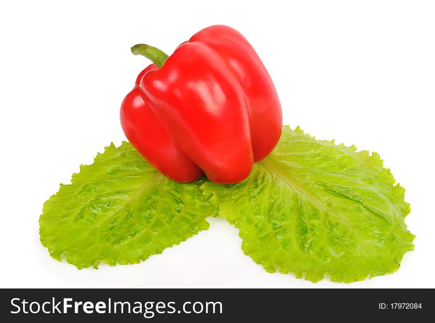 Red pepper on salad leaves, isolated on white