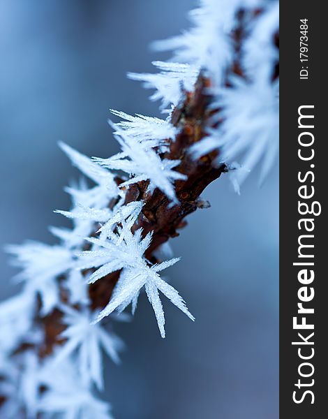 Ice crystals on a very cold winter day