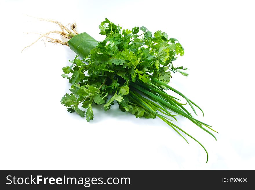 Coriander and green shallot isolated on white background