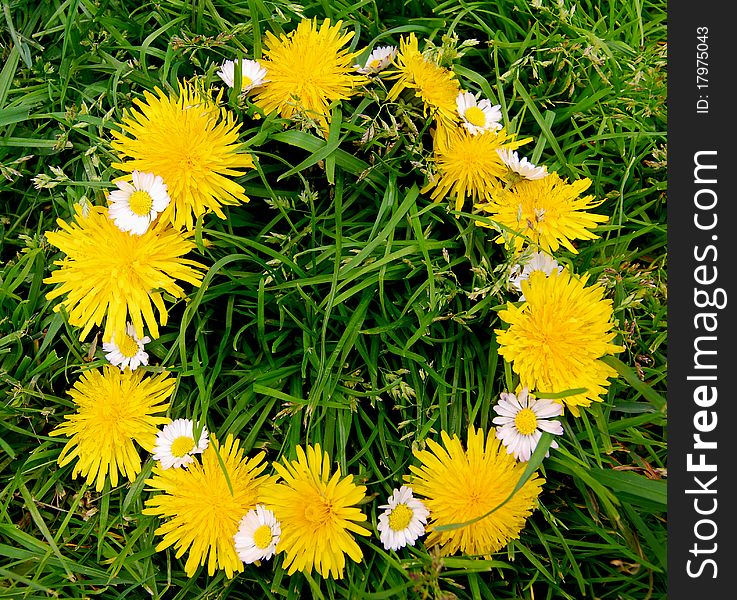 Floral wreath surrounded by beautiful green meadows and blooming. Floral wreath surrounded by beautiful green meadows and blooming.