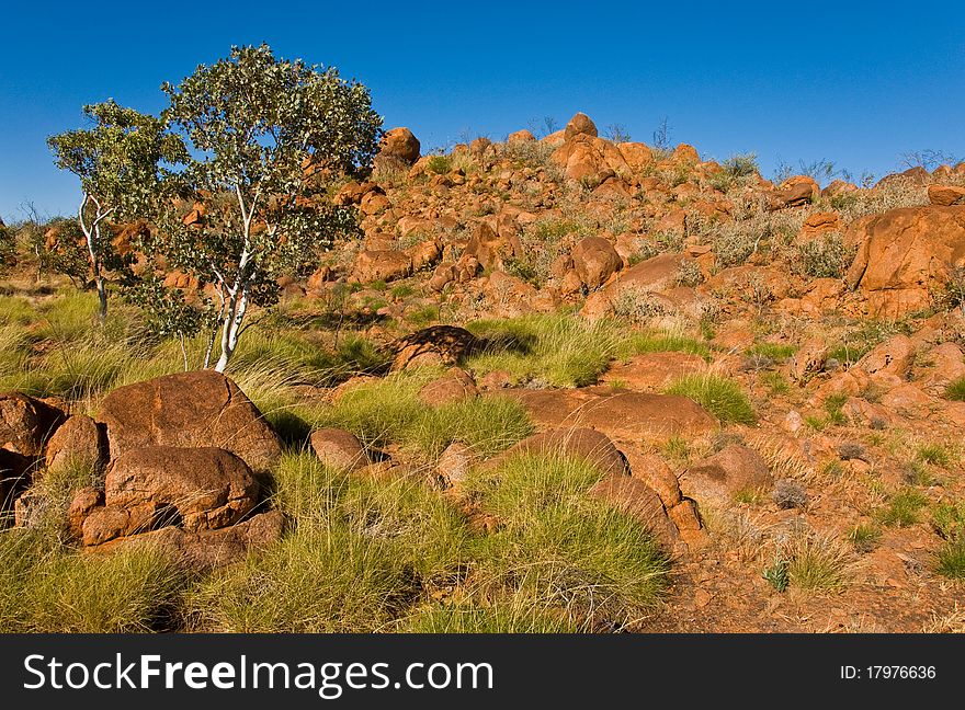 Landscape in the australian outback, northern territory. Landscape in the australian outback, northern territory