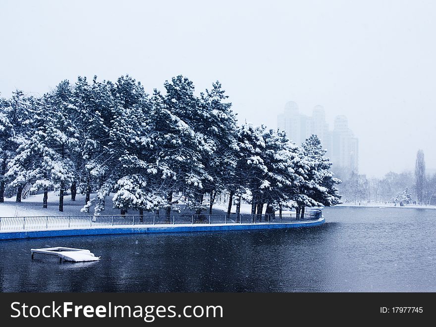 Snowy park with pond winter theme