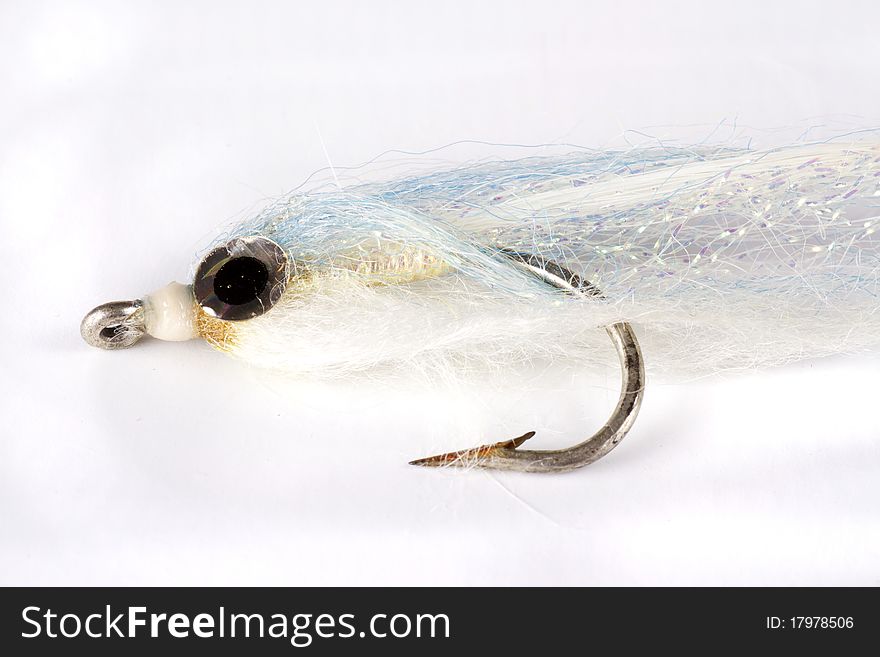 Big Eye Bait Fish 1