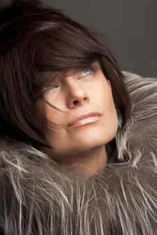 Woman In Fur Coat Stock Photo Woman In Fur Coat Stock Photo
