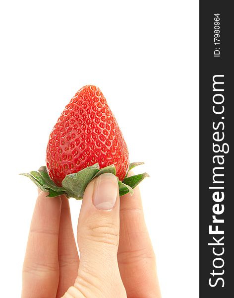 Strawberry in hand. Female hand holding one red ripe fresh organic strawberry over white background