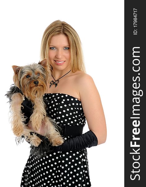 Beautiful blong girl holding small cute york terrier dog. isolated on white background. Beautiful blong girl holding small cute york terrier dog. isolated on white background