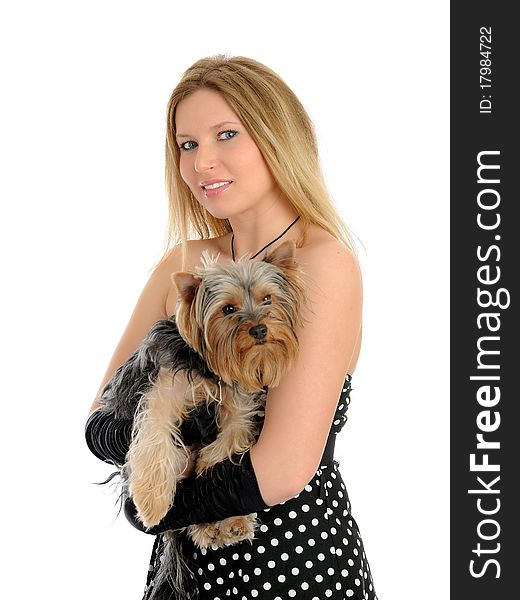 Beautiful Girl With Small Cute York Terrier Dog