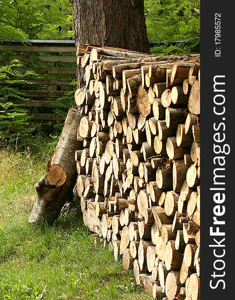 Wooden block detail in the forest with a wooden fence in the background