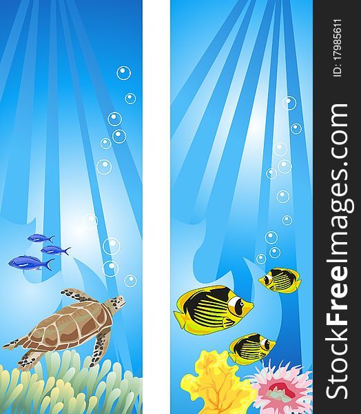 Backgrounds of tropical underwater scene