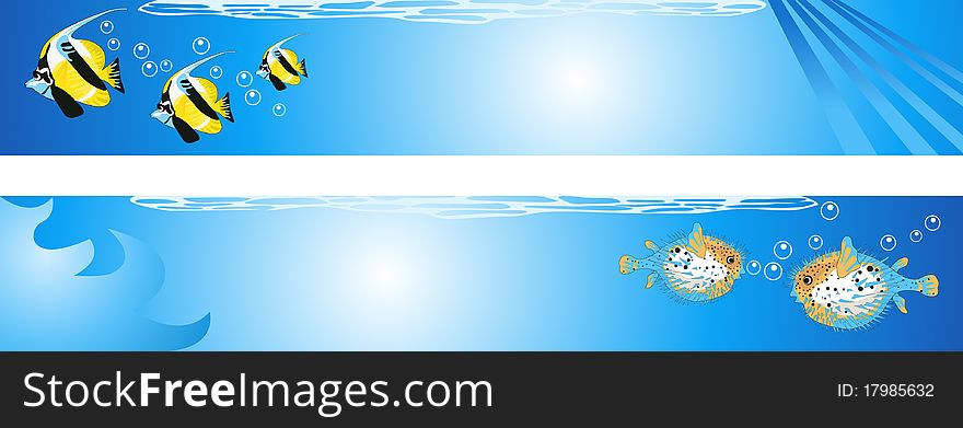 Backgrounds of tropical underwater scene