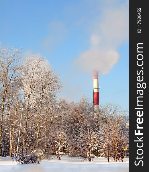 Ecological issues. Smoking chimneys and winter wood