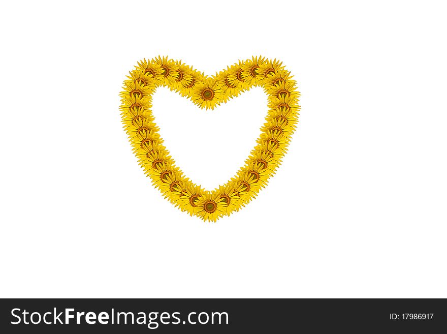 Sunflower petals in heart symbol isolated on white. Sunflower petals in heart symbol isolated on white