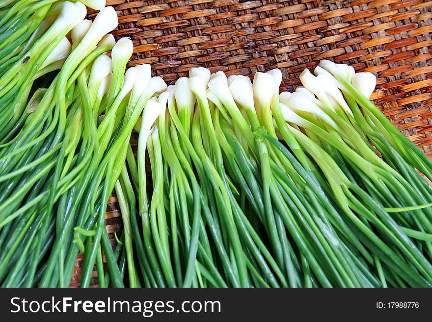 Vegetable Preparation