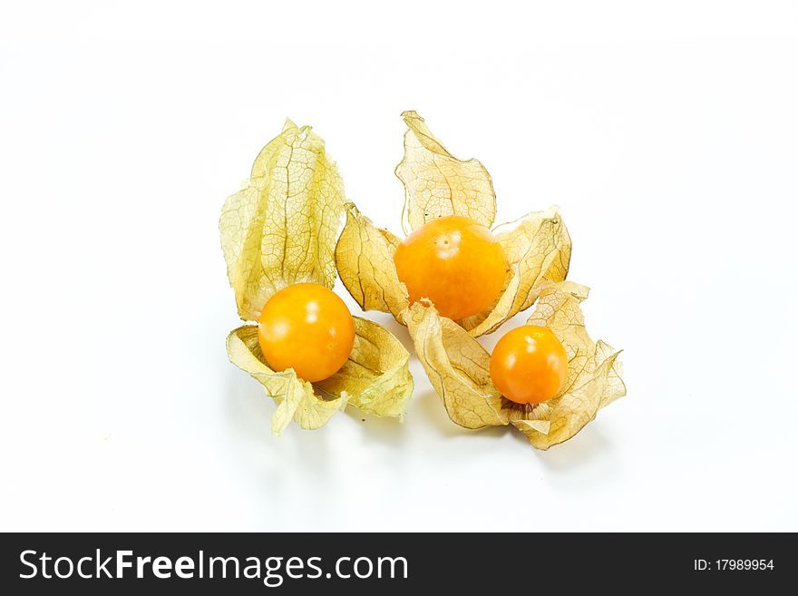 Physalis fruit isolated on white